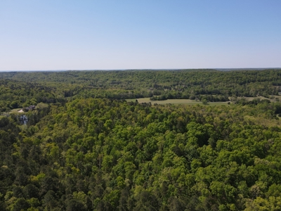Development Land with Timber For Sale in Little Rock, AR - image 4