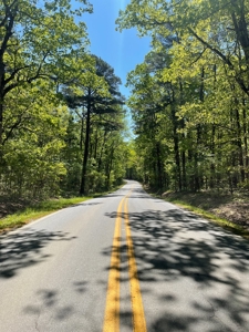 Development Land with Timber For Sale in Little Rock, AR - image 17