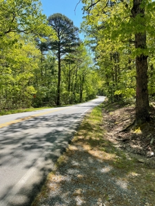 Development Land with Timber For Sale in Little Rock, AR - image 15