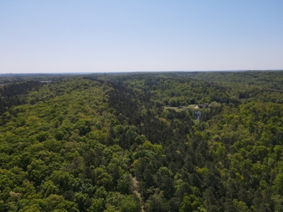 Development Land with Timber For Sale in Little Rock, AR - image 3