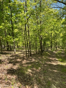 Development Land with Timber For Sale in Little Rock, AR - image 7