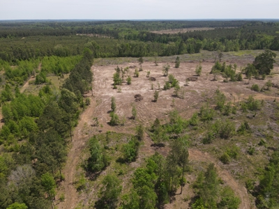 Secluded Hunting and Recreational Property - image 26