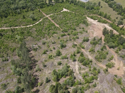 Secluded Hunting and Recreational Property - image 32