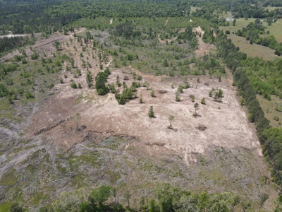 Secluded Hunting and Recreational Property - image 29