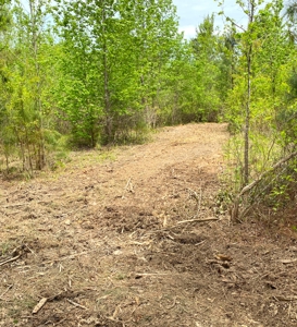 Secluded Hunting and Recreational Property - image 15