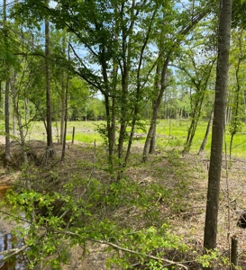 Secluded Hunting and Recreational Property - image 9
