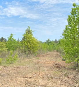 Secluded Hunting and Recreational Property - image 3