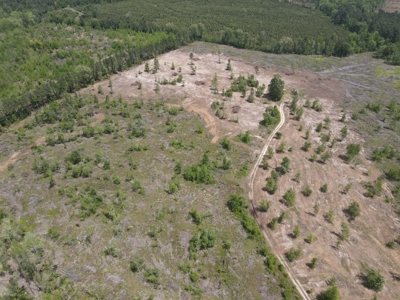 Secluded Hunting and Recreational Property - image 31