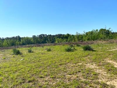 Secluded Hunting and Recreational Property - image 22