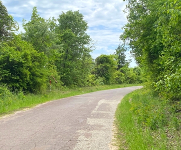 Secluded Hunting and Recreational Property - image 23