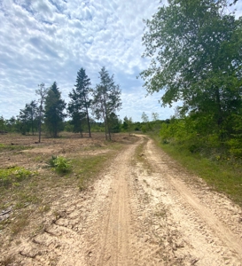 Secluded Hunting and Recreational Property - image 4