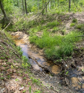 Secluded Hunting and Recreational Property - image 8