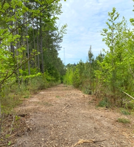 Secluded Hunting and Recreational Property - image 17