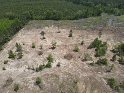 Secluded Hunting and Recreational Property - image 27