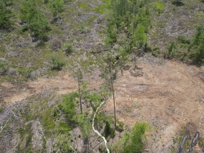 Secluded Hunting and Recreational Property - image 33