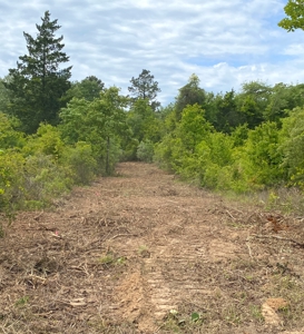 Secluded Hunting and Recreational Property - image 2