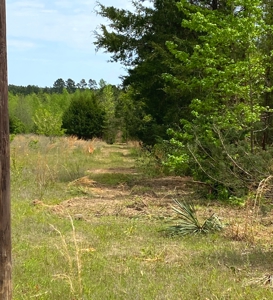 Secluded Hunting and Recreational Property - image 13