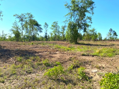 Secluded Hunting and Recreational Property - image 21