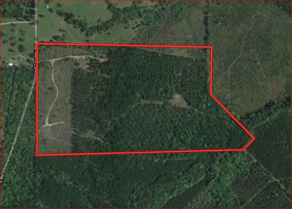 Secluded Hunting and Recreational Property - image 1