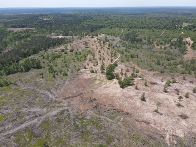 Secluded Hunting and Recreational Property - image 30