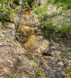 Secluded Hunting and Recreational Property - image 11