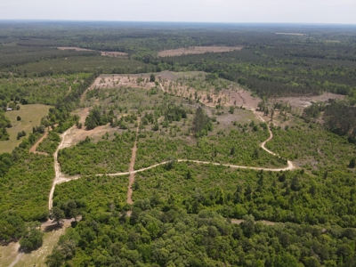 Secluded Hunting and Recreational Property - image 28