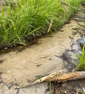 Secluded Hunting and Recreational Property - image 20