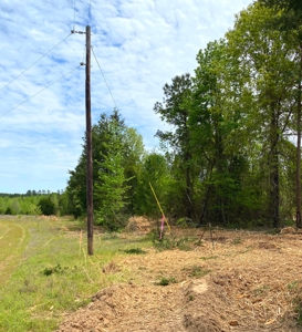 Secluded Hunting and Recreational Property - image 12