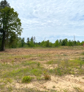 Secluded Hunting and Recreational Property - image 14