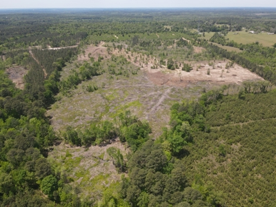 Secluded Hunting and Recreational Property - image 25