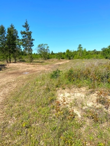 Secluded Hunting and Recreational Property - image 34