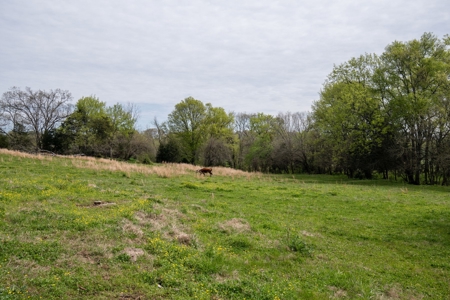 Historic Home with Acreage for Sale in Hampshire, Tennessee - image 29