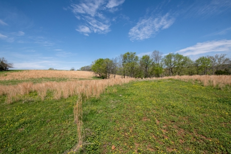 Historic Home with Acreage for Sale in Hampshire, Tennessee - image 38