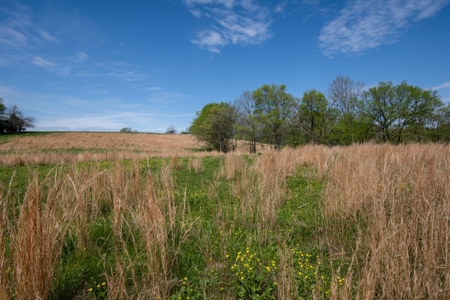 Historic Home with Acreage for Sale in Hampshire, Tennessee - image 36