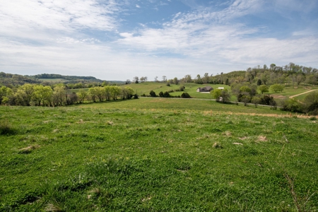 Historic Home with Acreage for Sale in Hampshire, Tennessee - image 41