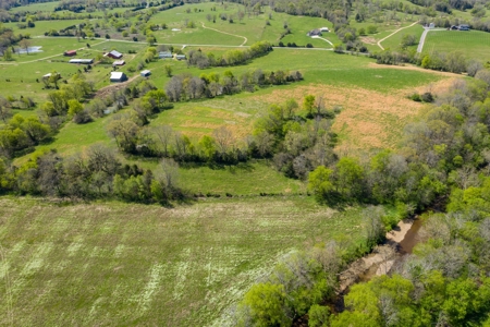 Historic Home with Acreage for Sale in Hampshire, Tennessee - image 45