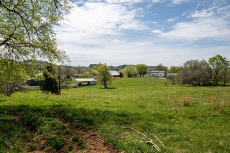 Historic Home with Acreage for Sale in Hampshire, Tennessee - image 43