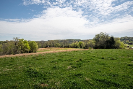 Historic Home with Acreage for Sale in Hampshire, Tennessee - image 40