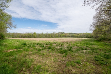 Historic Home with Acreage for Sale in Hampshire, Tennessee - image 30