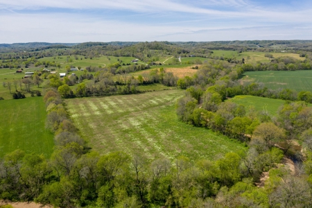 Historic Home with Acreage for Sale in Hampshire, Tennessee - image 48