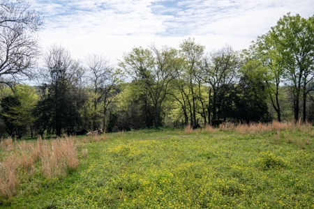 Historic Home with Acreage for Sale in Hampshire, Tennessee - image 37