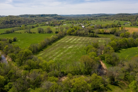 Historic Home with Acreage for Sale in Hampshire, Tennessee - image 47