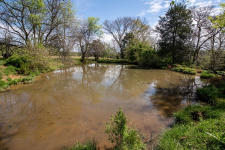 Historic Home with Acreage for Sale in Hampshire, Tennessee - image 42