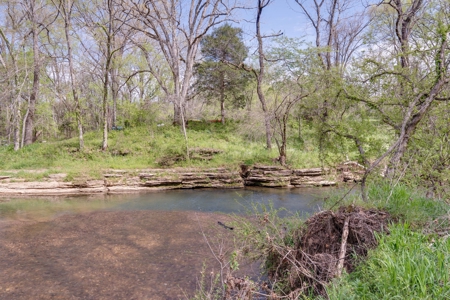 Historic Home with Acreage for Sale in Hampshire, Tennessee - image 33