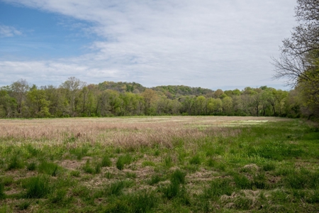 Historic Home with Acreage for Sale in Hampshire, Tennessee - image 31