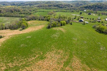 Historic Home with Acreage for Sale in Hampshire, Tennessee - image 44