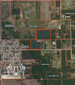24.39 acres m/l. Brevard County Florida Land for Sale - image 1