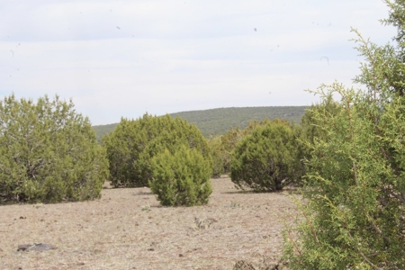 Mountain Land for Sale in Westwood Ranches No HOA - image 3