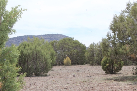 Mountain Land for Sale in Westwood Ranches No HOA - image 4