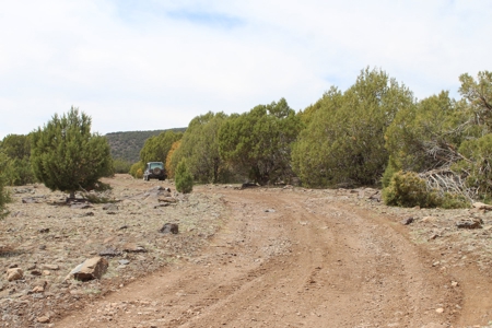 Mountain Land for Sale in Westwood Ranches No HOA - image 9